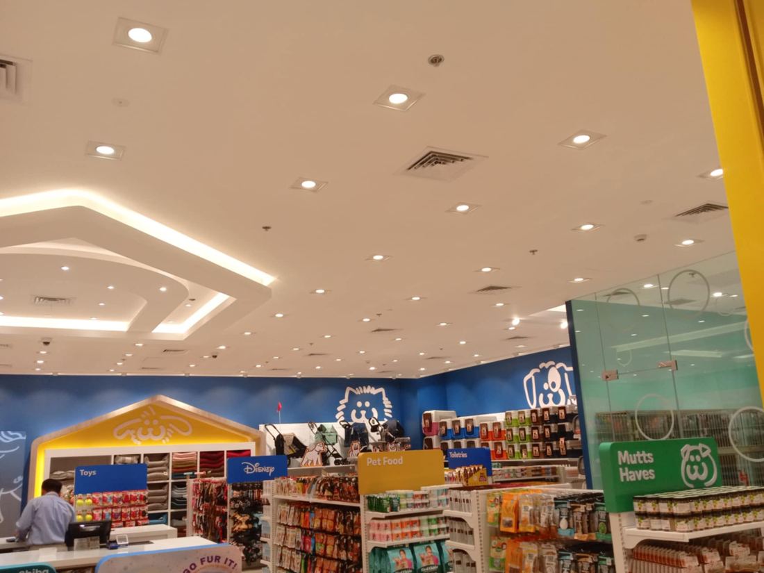 Pet Express store interior lighting